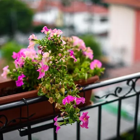 Mansion Chalatsopoulos *